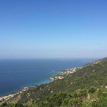Ajaccio Charmant T2 neuf 40m2 avec balcon au Trottel wifi Clim parking plage à pieds 100m Ajaccio (Corsica) Exterior foto