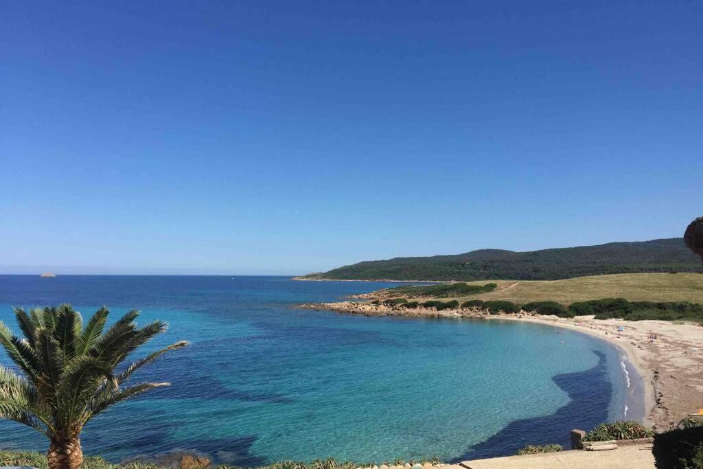Ajaccio Charmant T2 neuf 40m2 avec balcon au Trottel wifi Clim parking plage à pieds 100m Ajaccio (Corsica) Exterior foto