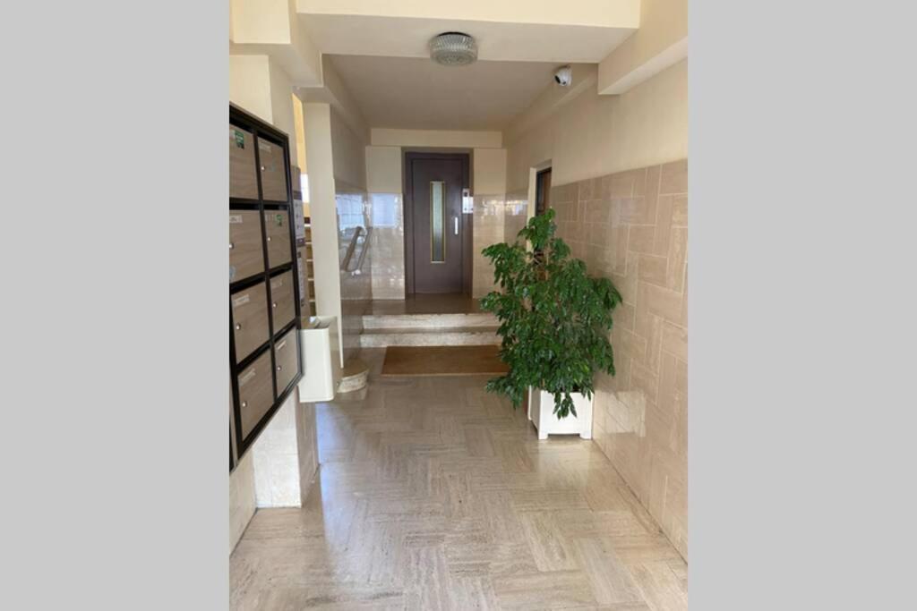 Ajaccio Charmant T2 neuf 40m2 avec balcon au Trottel wifi Clim parking plage à pieds 100m Ajaccio (Corsica) Exterior foto