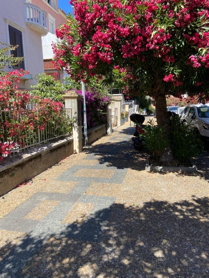 Ajaccio Charmant T2 neuf 40m2 avec balcon au Trottel wifi Clim parking plage à pieds 100m Ajaccio (Corsica) Exterior foto
